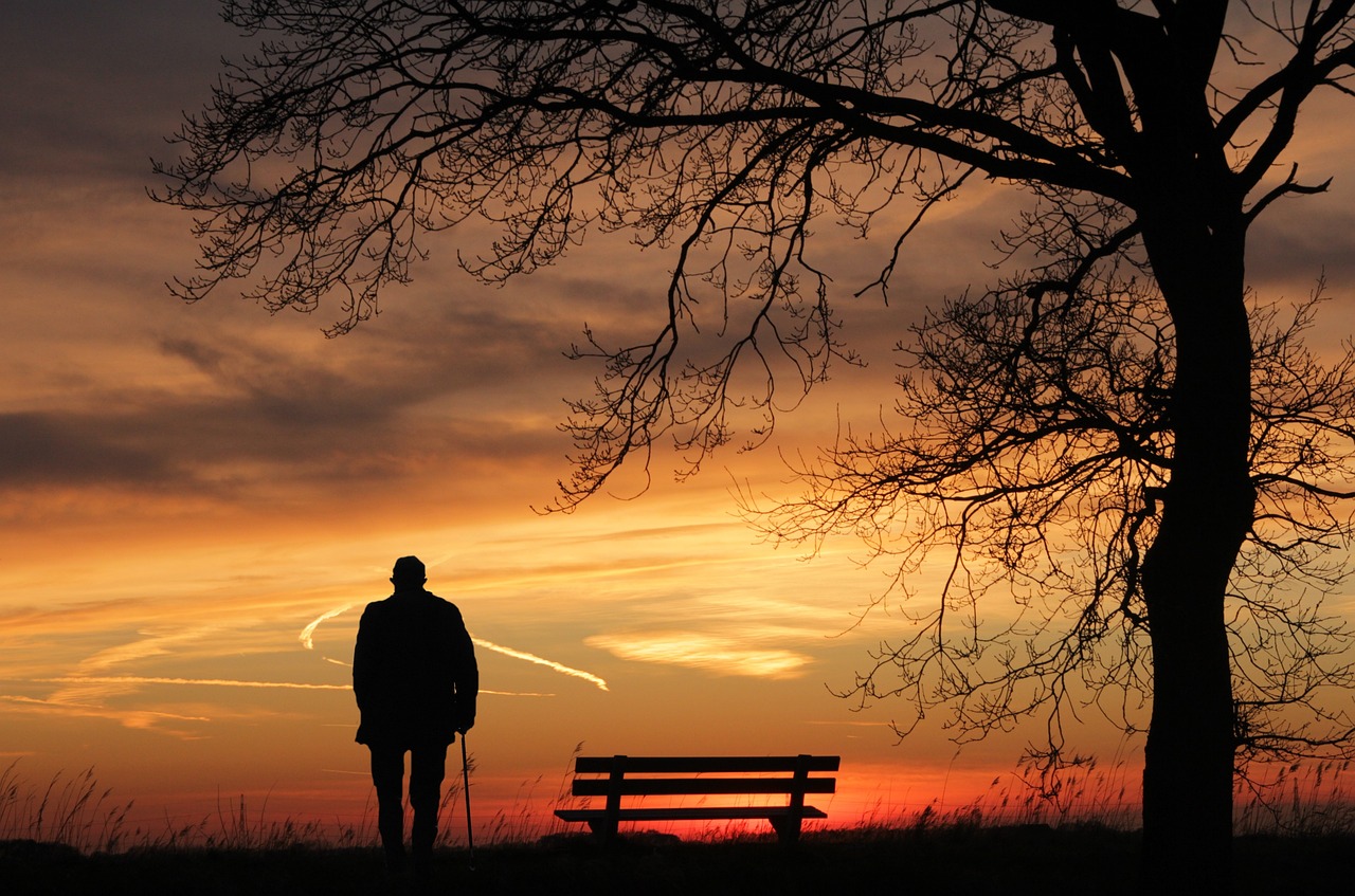 sunset, tree, silhouette, dusk, nature, lonely, evening atmosphere, mood, the atmosphere, peaceful, alone, sad, quiet, eve, silence, peaceful mood, man, old man, bank, races, rest
